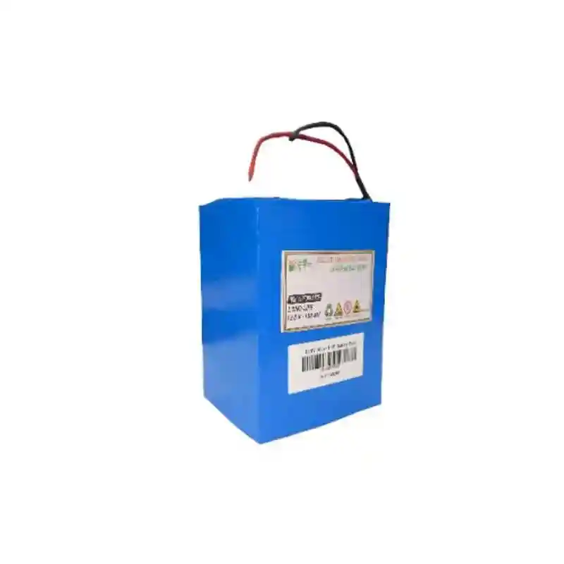 12.8V-100ah LiFePo4 Battery with BMS